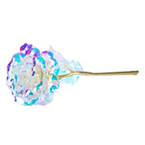 Rainbow multicolor gold plated rose shown from a top down angle