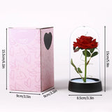 Gold foil rose in a lit glass dome casting warm light patterns on a wall