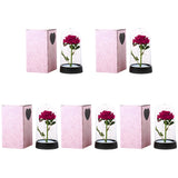 Red foil roses in glass domes displayed with pink patterned gift boxes