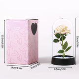 Red foil rose dome shown beside a pink patterned gift box with dimensions