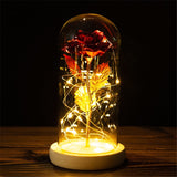 Buy Valentines Eternal Rose LED in Glass Display Gift and get Free Shipping Australia Wide |  | Buy Confidently from Smart Sales Australia