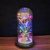 Buy Valentines Eternal Rose LED in Glass Display Gift and get Free Shipping Australia Wide |  | Buy Confidently from Smart Sales Australia