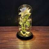 Buy Valentines Eternal Rose LED in Glass Display Gift and get Free Shipping Australia Wide |  | Buy Confidently from Smart Sales Australia