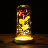 Buy Valentines Eternal Rose LED in Glass Display Gift and get Free Shipping Australia Wide |  | Buy Confidently from Smart Sales Australia