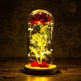 Buy Valentines Eternal Rose LED in Glass Display Gift and get Free Shipping Australia Wide |  | Buy Confidently from Smart Sales Australia