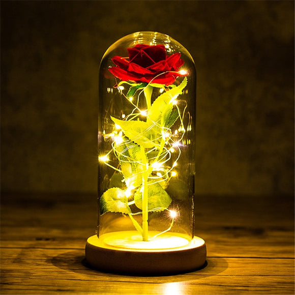 Buy Valentines Eternal Rose LED in Glass Display Gift and get Free Shipping Australia Wide |  | Buy Confidently from Smart Sales Australia