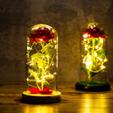 Buy Valentines Eternal Rose LED in Glass Display Gift and get Free Shipping Australia Wide |  | Buy Confidently from Smart Sales Australia