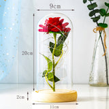 Buy Valentines Eternal Rose LED in Glass Display Gift and get Free Shipping Australia Wide |  | Buy Confidently from Smart Sales Australia