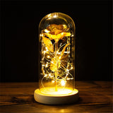 Buy Valentines Eternal Rose LED in Glass Display Gift and get Free Shipping Australia Wide |  | Buy Confidently from Smart Sales Australia