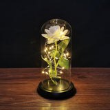 Buy Valentines Eternal Rose LED in Glass Display Gift and get Free Shipping Australia Wide |  | Buy Confidently from Smart Sales Australia