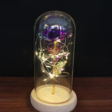 Buy Valentines Eternal Rose LED in Glass Display Gift and get Free Shipping Australia Wide |  | Buy Confidently from Smart Sales Australia