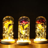 Buy Valentines Eternal Rose LED in Glass Display Gift and get Free Shipping Australia Wide |  | Buy Confidently from Smart Sales Australia