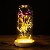 Buy Valentines Eternal Rose LED in Glass Display Gift and get Free Shipping Australia Wide |  | Buy Confidently from Smart Sales Australia