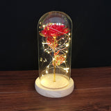 Buy Valentines Eternal Rose LED in Glass Display Gift and get Free Shipping Australia Wide |  | Buy Confidently from Smart Sales Australia