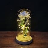 Buy Valentines Eternal Rose LED in Glass Display Gift and get Free Shipping Australia Wide |  | Buy Confidently from Smart Sales Australia