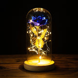 Buy Valentines Eternal Rose LED in Glass Display Gift and get Free Shipping Australia Wide |  | Buy Confidently from Smart Sales Australia