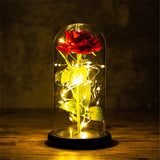 Buy Valentines Eternal Rose LED in Glass Display Gift and get Free Shipping Australia Wide |  | Buy Confidently from Smart Sales Australia