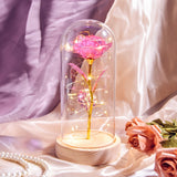 Pale pink rose in a glass dome with warm LED lights and draped fabric behind