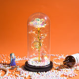 Pale toned rose in a lit glass dome with fairy lights on a wooden base