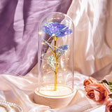 Pink and purple galaxy rose in a lit dome with rose petals scattered nearby