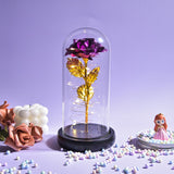 Pink and yellow toned rose in a glass dome with warm LED lights