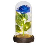 Rainbow galaxy foil rose under a glass dome with fairy lights and white pebbles