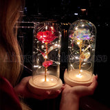 Diagram showing dome dimensions, LED light strand, battery base and foil rose petals
