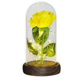 Rose with green foliage under a glass dome on a dark wooden base