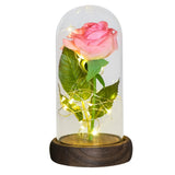 Pink and white rose in a clear glass dome on a dark wooden base