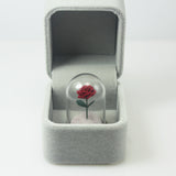 Rose terrarium pendant displayed in an open gift box shown from the front