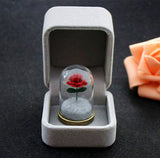Rose terrarium pendant displayed in an open gift box labeled style B