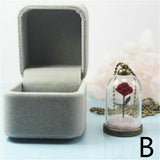Rose terrarium pendant displayed in an open gift box labeled style D